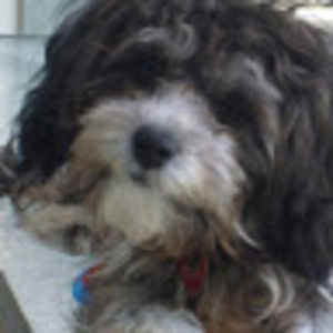 Meet your Posher, Raina